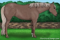 Horse Color:Chocolate Silver Black 