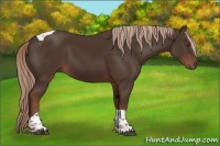 Horse Color:Liver Chestnut Tobiano 