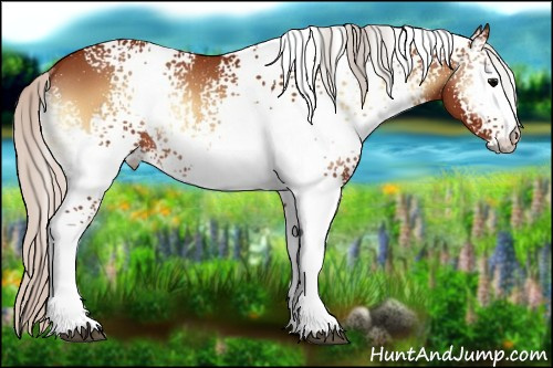 Horse Color:White Spotted Silver Bay Onyx Rabicano 