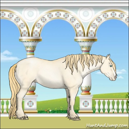 Horse Color:Buckskin Pearl 
