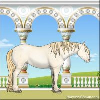Horse Color:Buckskin Pearl 