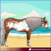 Horse Color:Silver Bay Frame Rabicano 