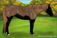 Horse Color:Void Red Roan Splash 