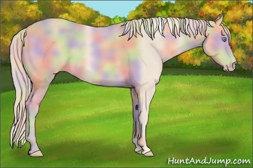 Horse Color:Nacre Cremello 