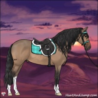 Horse Color:Brown Dun 