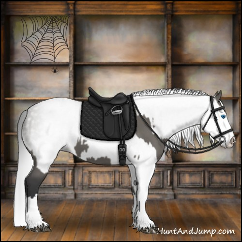 Horse Color:Grullo Sabino Splash and Gray Grullo Sabino Splash