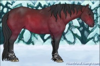 Horse Color:Brown Sabino