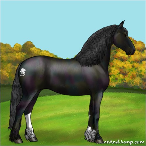 Horse Color:Midnight Grullo 