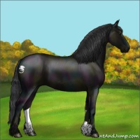 Horse Color:Midnight Grullo 
