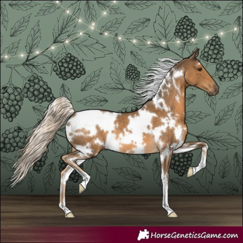 Horse Color:White Spotted Chocolate Palomino 