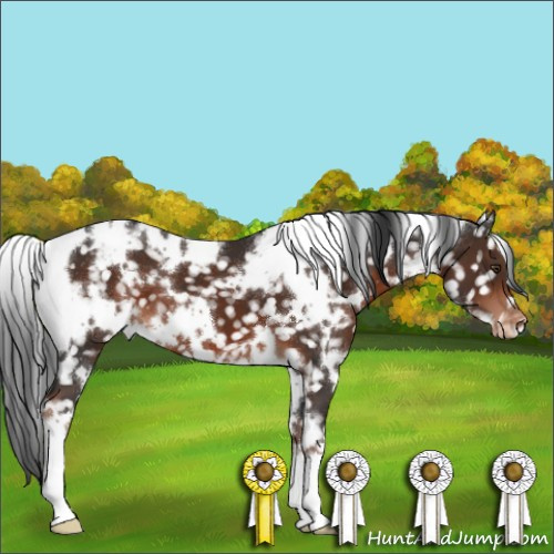 Horse Color:White Spotted Liver Chestnut Snowflake Varnish 