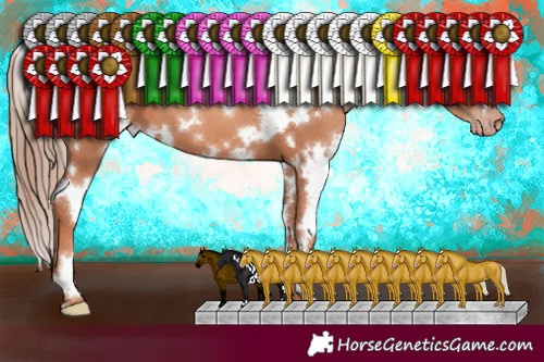 Horse Color:White Spotted Gold Champagne 