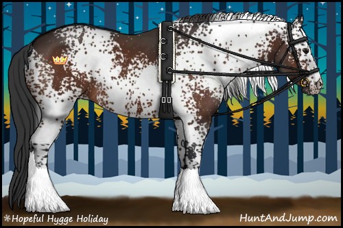 Horse Color:White Spotted Bay Rabicano 