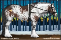 Horse Color:White Spotted Bay Rabicano 