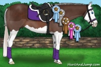 Horse Color:Silver Brown Splash