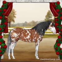 Horse Color:Brown Sabino