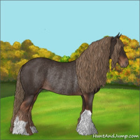 Horse Color:Liver Chestnut Rabicano 