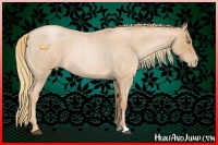Horse Color:Red Roan Pearl 