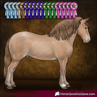 Horse Color:Black Pearl 