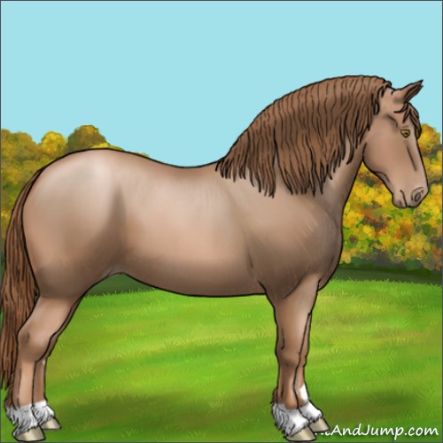 Horse Color:Liver Chestnut Pearl 