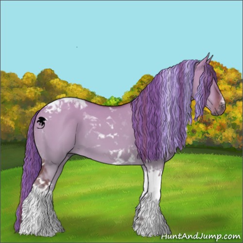 Horse Color:Painted Red Dun Tobiano 