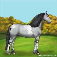 Horse Color:Bay Chinchilla Dun Tobiano 