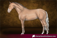 Horse Color:Silver Amber Champagne