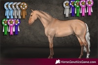 Horse Color:Silver Bay Dun Rabicano 