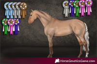 Horse Color:Silver Bay Dun Rabicano 