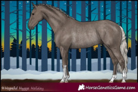 Horse Color:Silver Black Rabicano