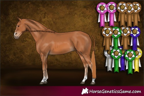 Horse Color:Chestnut 