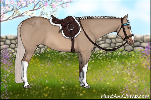 Horse Color:Silver Bay Dun 
