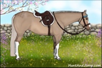 Horse Color:Silver Bay Dun