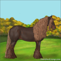 Horse Color:Liver Chestnut Rabicano 