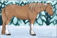 Horse Color:Chestnut Tobiano 