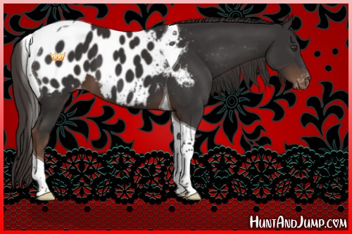 Horse Color:Liver Chestnut Tobiano Near Leopard 