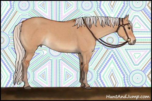 Horse Color:Silver Bay Dun