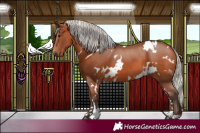 Horse Color:White Spotted Silver Brown