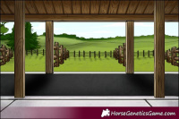 Horse Color:White Spotted Silver Brown 