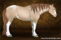 Horse Color:White Spotted Smoky Black Pearl Mushroom Tobiano 
