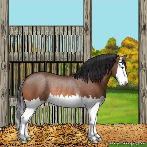 Horse Color:Bay Splash Rabicano 