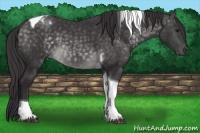 Horse Color:Platinum Buckskin Tobiano