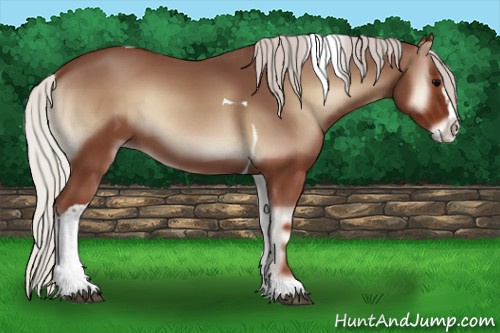 Horse Color:Silver Blue Onyx Splash Tobiano