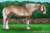 Horse Color:Silver Blue Onyx Splash Tobiano 