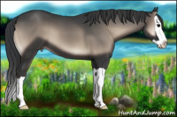 Horse Color:Blue Onyx Splash 