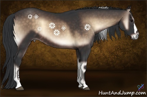 Horse Color:Brown Onyx 