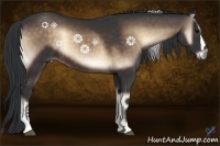 Horse Color:Brown Onyx 