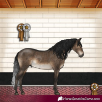 Horse Color:Gray Brown Dun Mushroom Rabicano Brindle 