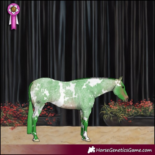 Horse Color:Watercolor White Spotted Bay Roan 