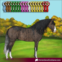 Horse Color:Brown Dun Sabino Brindle 